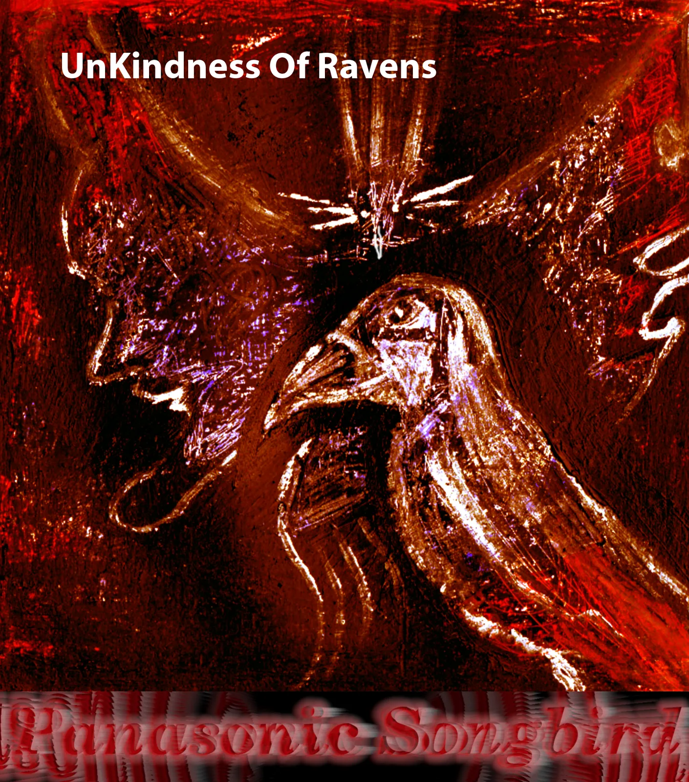 Panasonic Songbird front cover